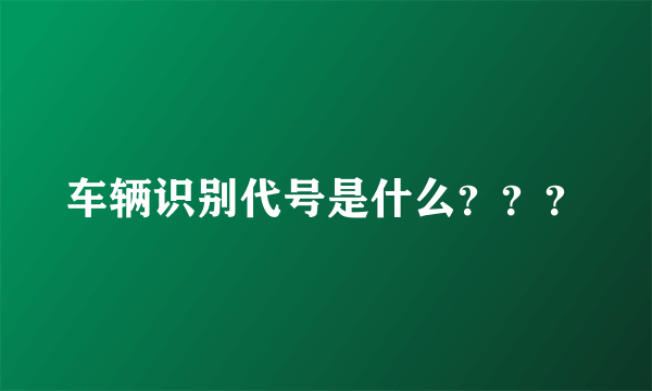 车辆识别代号是什么？？？