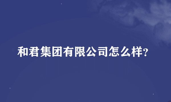 和君集团有限公司怎么样？