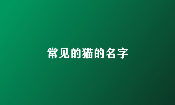 常见的猫的名字