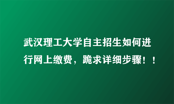 武汉理工大学自主招生如何进行网上缴费，跪求详细步骤！！