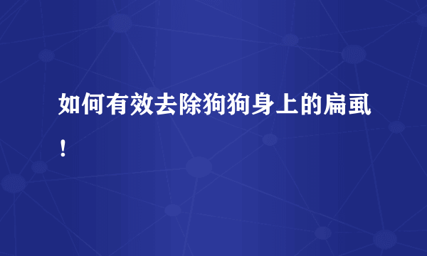 如何有效去除狗狗身上的扁虱！