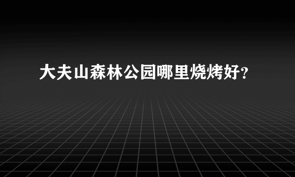 大夫山森林公园哪里烧烤好？