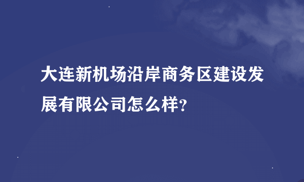 大连新机场沿岸商务区建设发展有限公司怎么样？