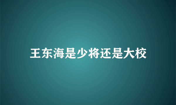 王东海是少将还是大校