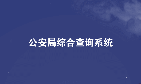 公安局综合查询系统