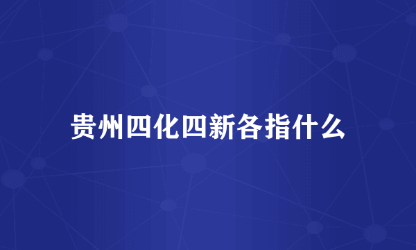 贵州四化四新各指什么