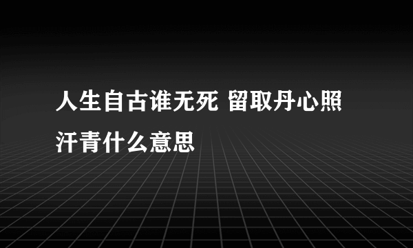 人生自古谁无死 留取丹心照汗青什么意思