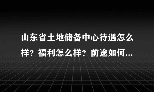 山东省土地储备中心待遇怎么样？福利怎么样？前途如何？平时忙不忙？