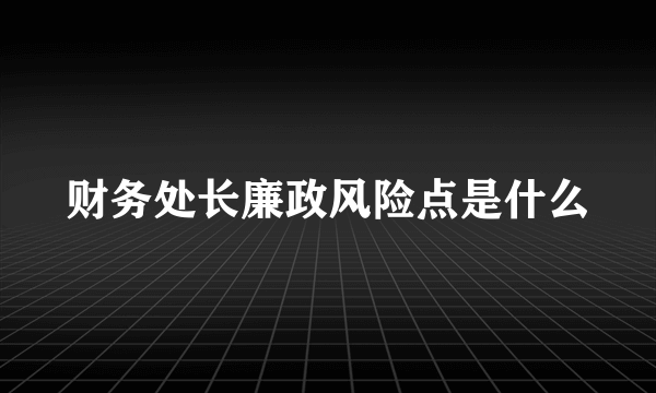 财务处长廉政风险点是什么