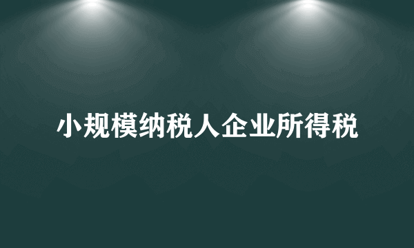 小规模纳税人企业所得税