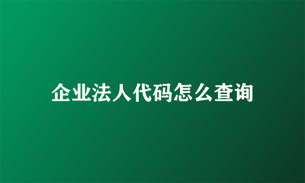 企业法人代码怎么查询