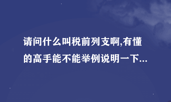 请问什么叫税前列支啊,有懂的高手能不能举例说明一下最好通俗易懂