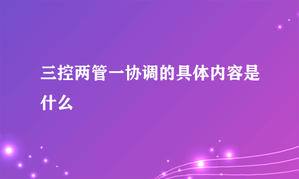 三控两管一协调的具体内容是什么