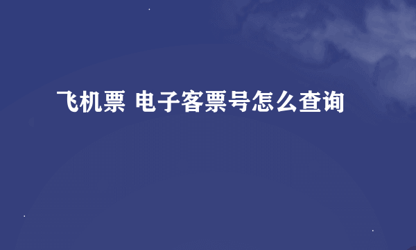 飞机票 电子客票号怎么查询