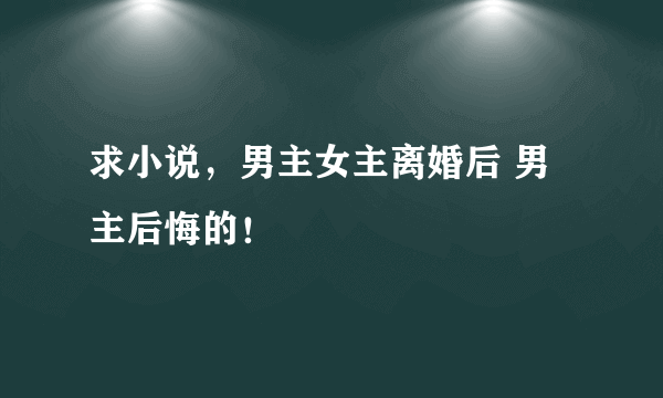 求小说，男主女主离婚后 男主后悔的！