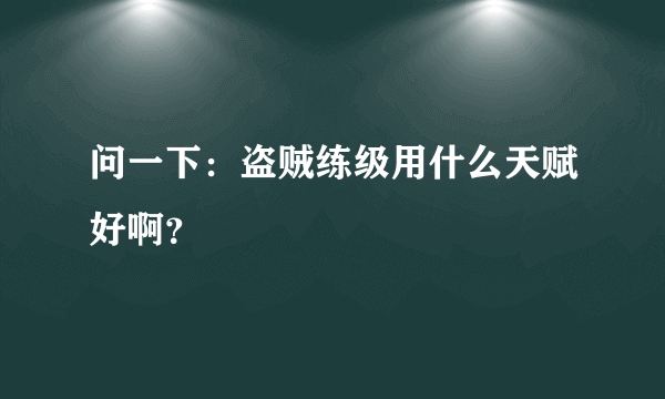 问一下：盗贼练级用什么天赋好啊？