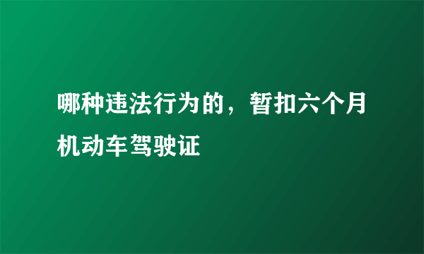 哪种违法行为的，暂扣六个月机动车驾驶证