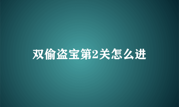 双偷盗宝第2关怎么进