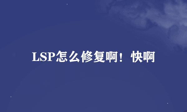 LSP怎么修复啊！快啊