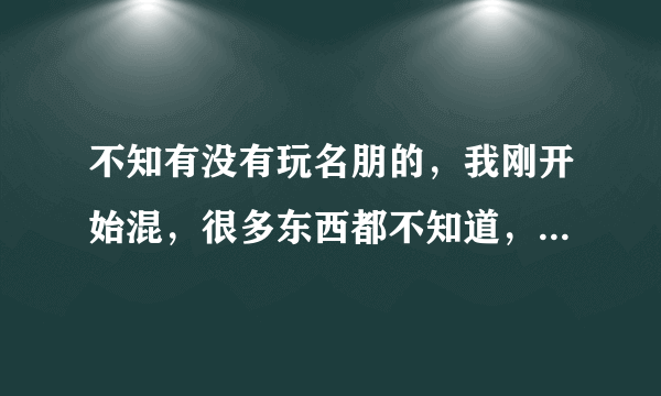 不知有没有玩名朋的，我刚开始混，很多东西都不知道，例如怎么升级啊，还有什么名朋编号啊都不知道来着…