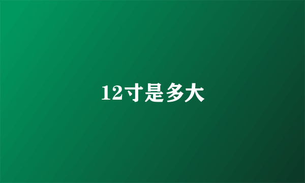 12寸是多大