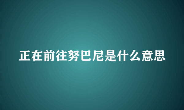 正在前往努巴尼是什么意思