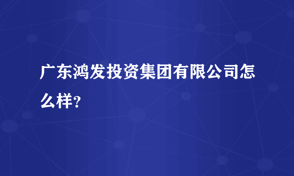 广东鸿发投资集团有限公司怎么样？