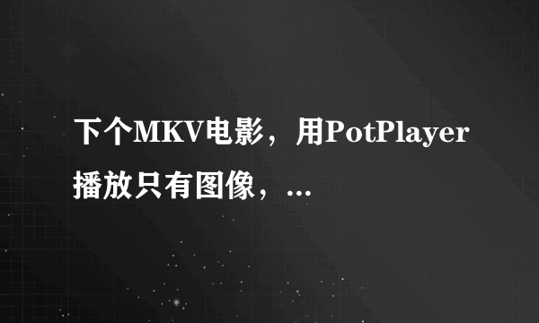 下个MKV电影，用PotPlayer播放只有图像，没有声音，怎么回事？