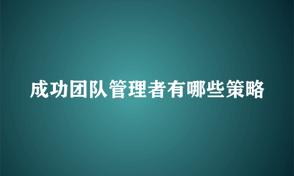 成功团队管理者有哪些策略