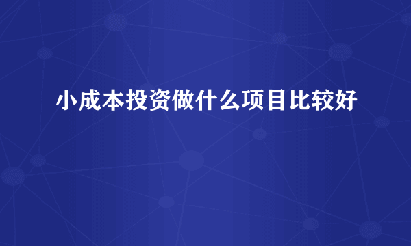 小成本投资做什么项目比较好