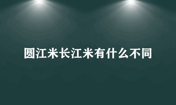 圆江米长江米有什么不同