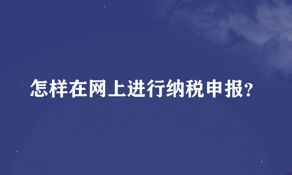 怎样在网上进行纳税申报？