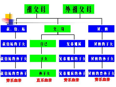 什么是直系亲属关系