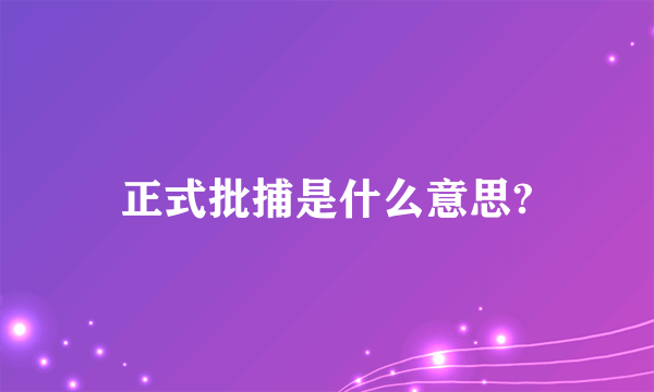 正式批捕是什么意思?