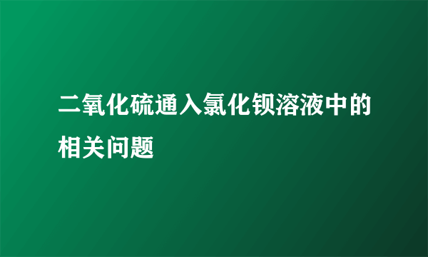 二氧化硫通入氯化钡溶液中的相关问题