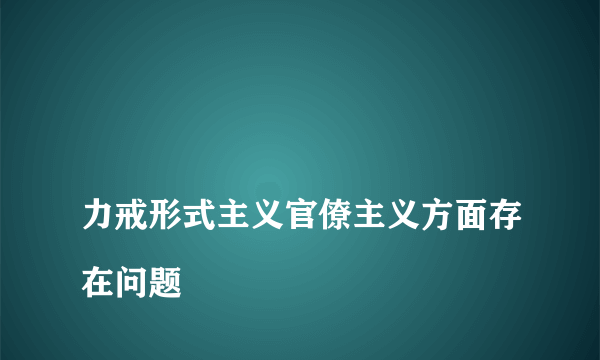 
力戒形式主义官僚主义方面存在问题

