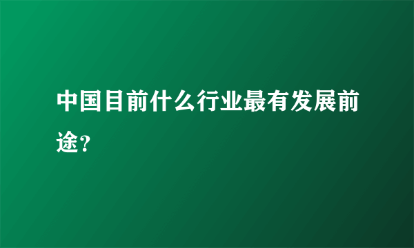 中国目前什么行业最有发展前途？