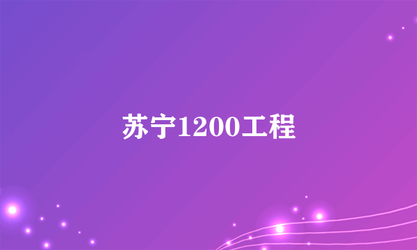 苏宁1200工程