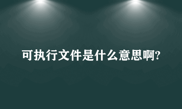 可执行文件是什么意思啊?