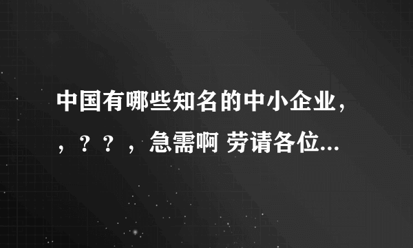 中国有哪些知名的中小企业，，？？，急需啊 劳请各位帮帮忙吧