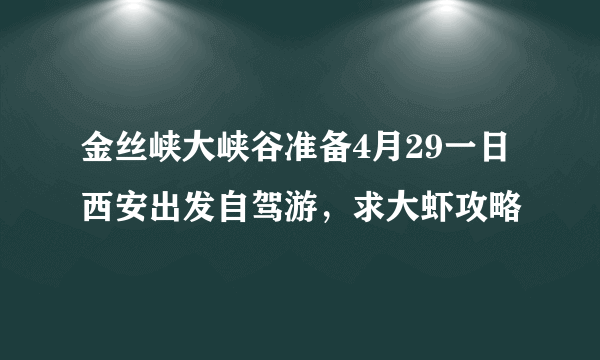 金丝峡大峡谷准备4月29一日西安出发自驾游，求大虾攻略
