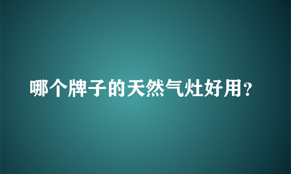 哪个牌子的天然气灶好用？