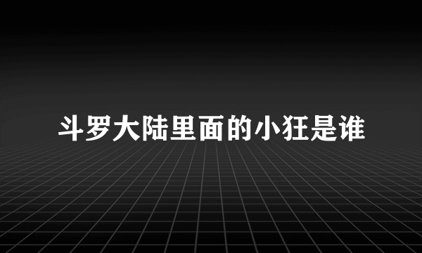 斗罗大陆里面的小狂是谁