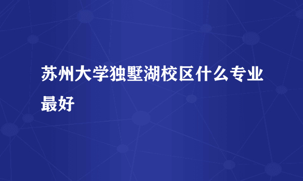 苏州大学独墅湖校区什么专业最好