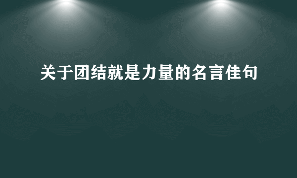 关于团结就是力量的名言佳句