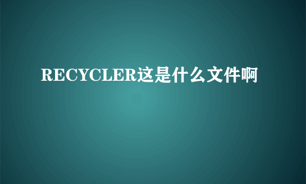 RECYCLER这是什么文件啊