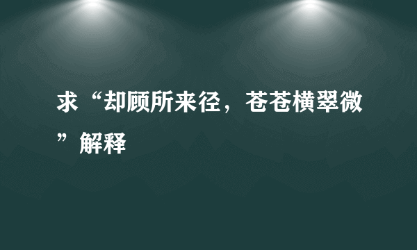 求“却顾所来径，苍苍横翠微”解释