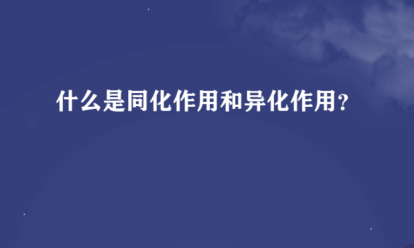 什么是同化作用和异化作用？