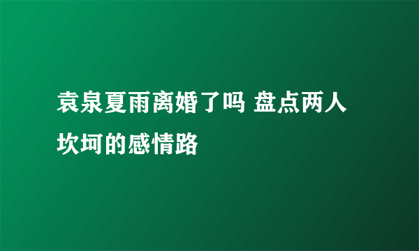 袁泉夏雨离婚了吗 盘点两人坎坷的感情路