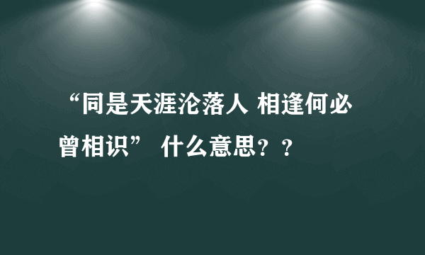 “同是天涯沦落人 相逢何必曾相识” 什么意思？？